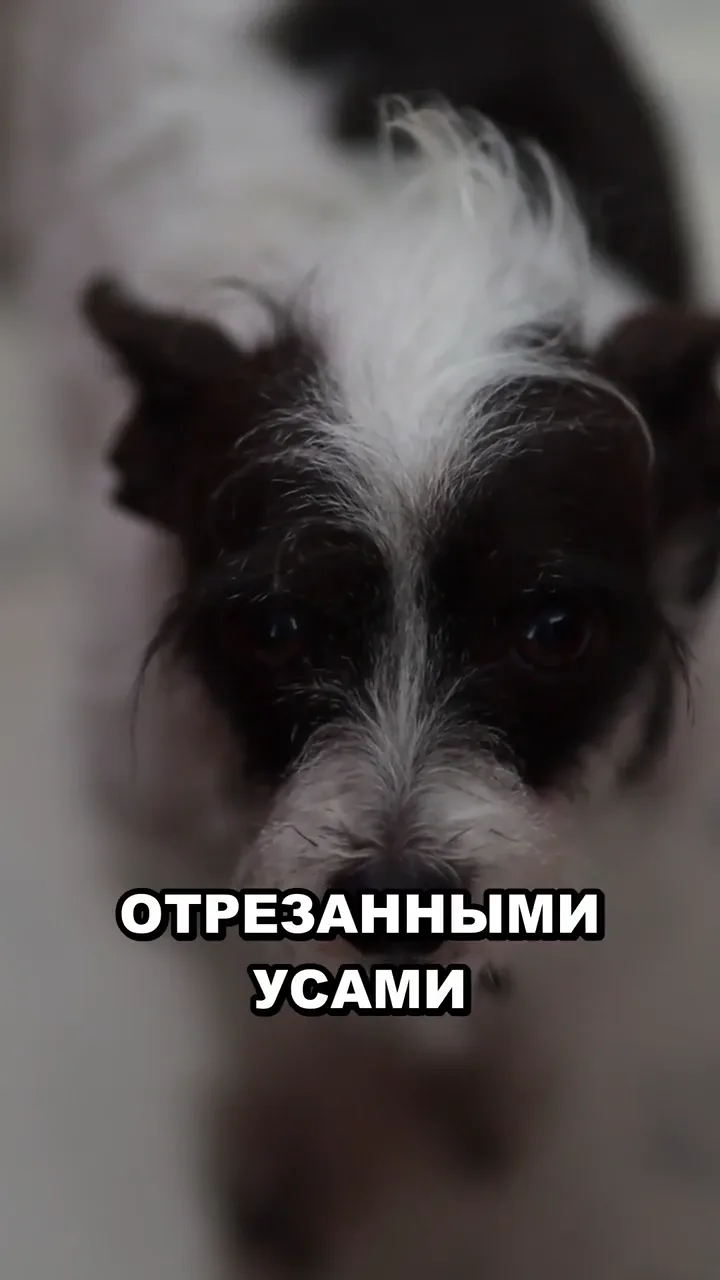 Пример рилса 12